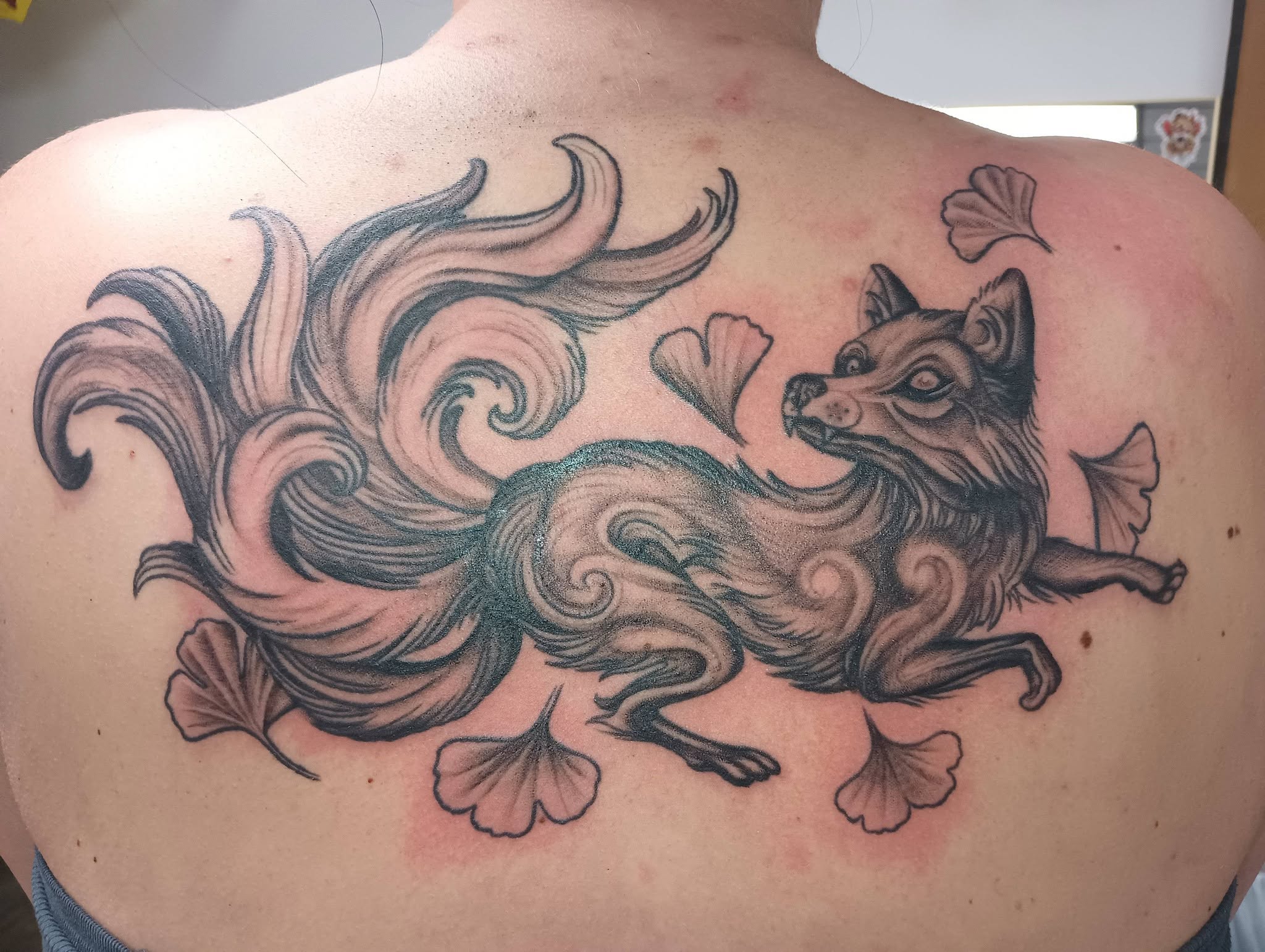 Dragon back piece