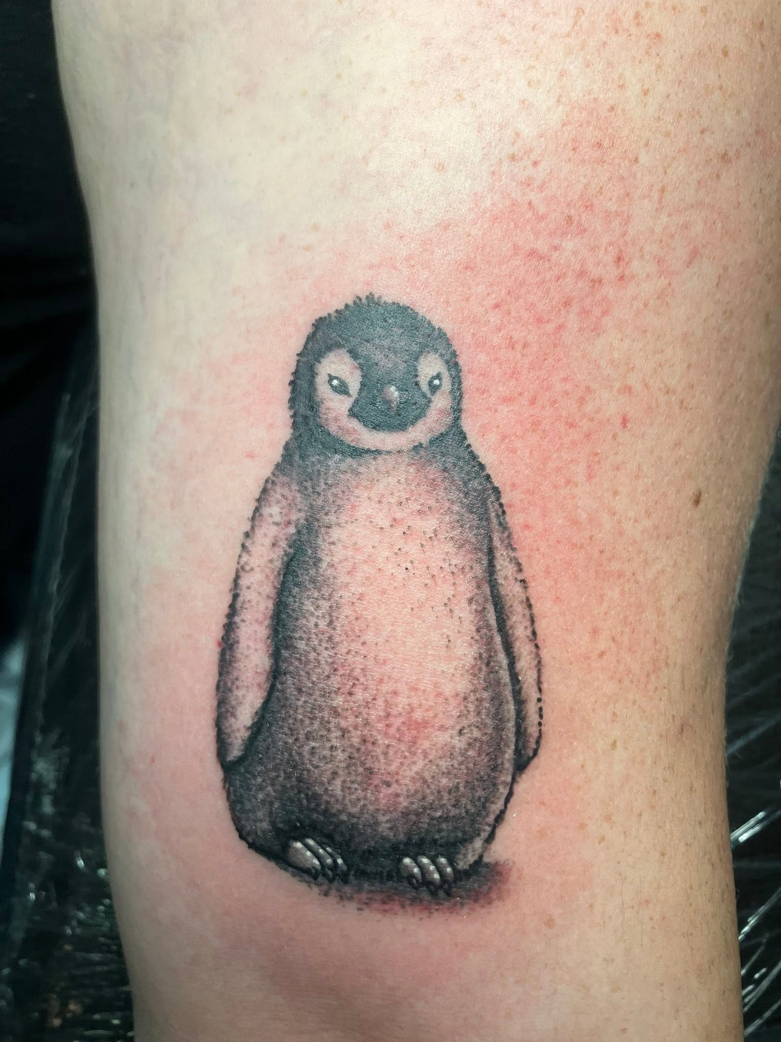 Penguin tattoo